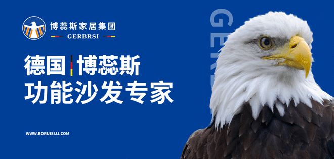 能沙发专家 大国隐形冠军AG旗舰厅博蕊斯——功(图2)